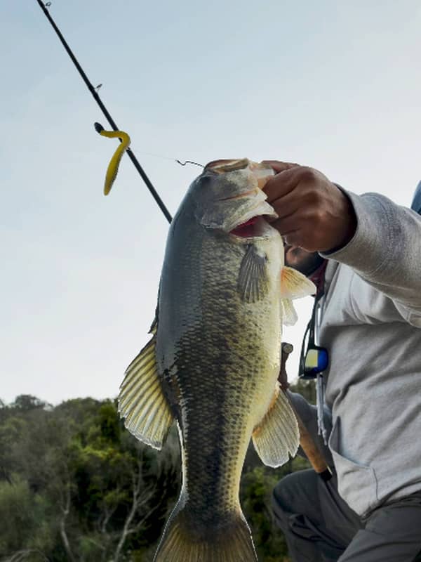 Hotel Valkarana Catch Release Pesca 01